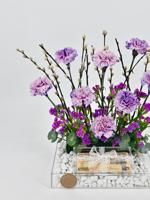 Killua Light Money Arrangement