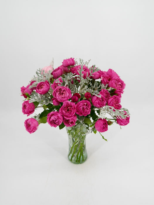 Cerise Beauty