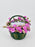 Basket Money Arrangement