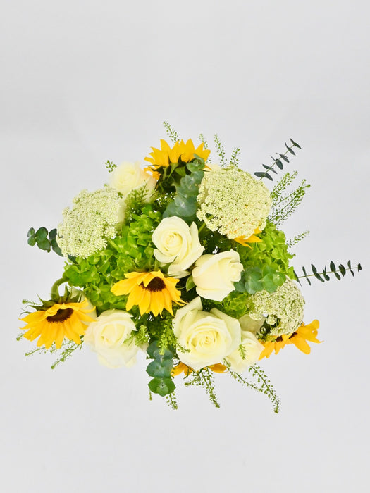 Sunflower Garden