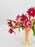 Tulip Double Color