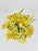 Yellowish