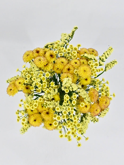 Yellowish