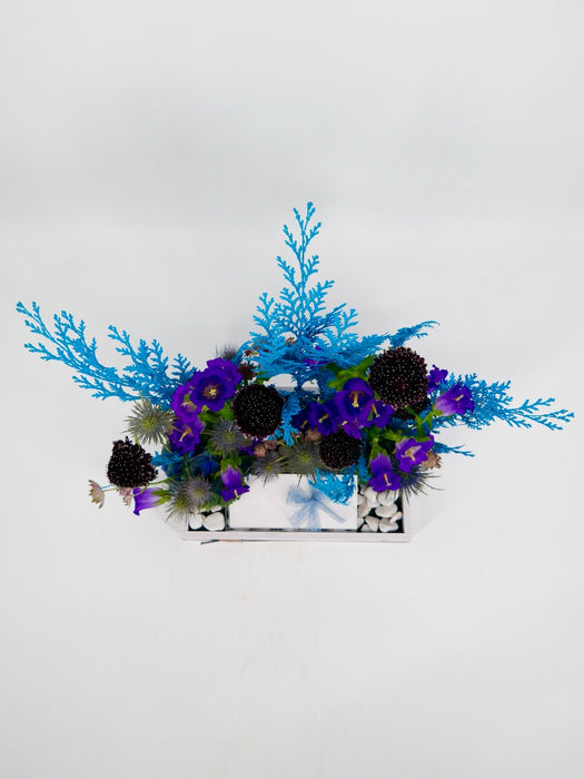 Scabiosa Money Arrangement