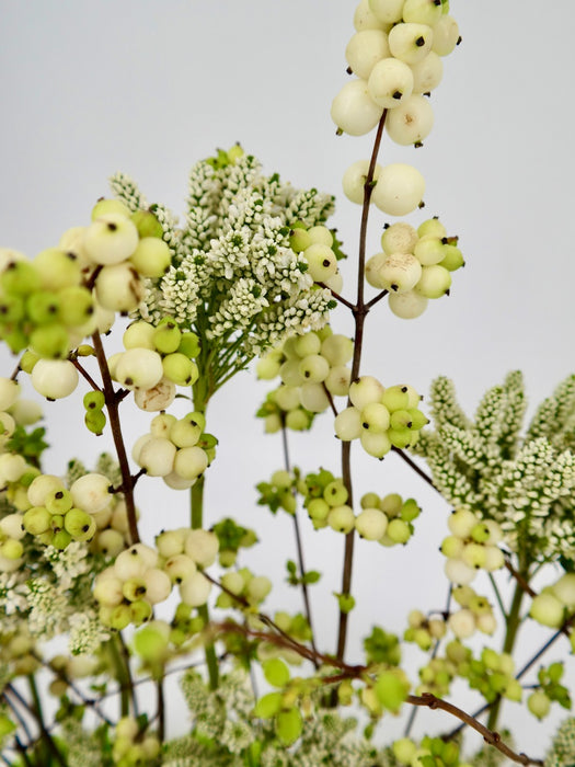Snowberry Magical