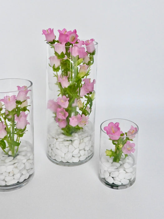 Campanula Vase Set