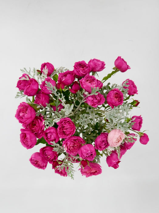 Cerise Beauty
