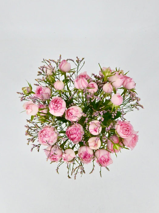 Pink Blossom