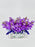 Purple Money Arrangement