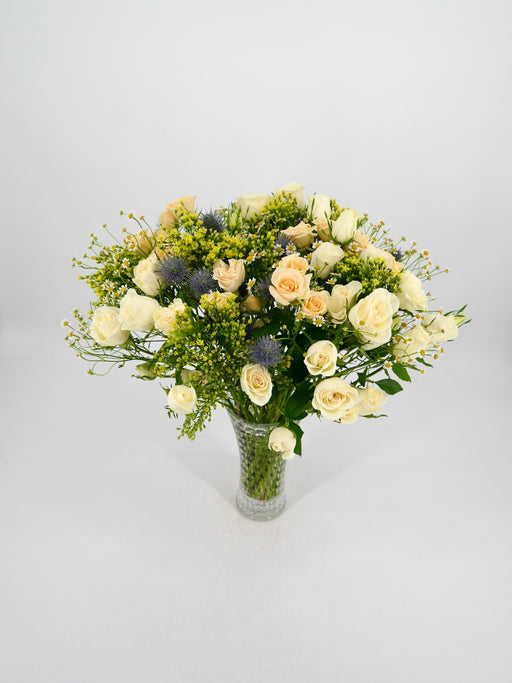 Tanacetum