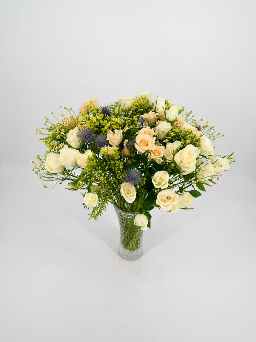Tanacetum