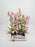 Pink Campanula