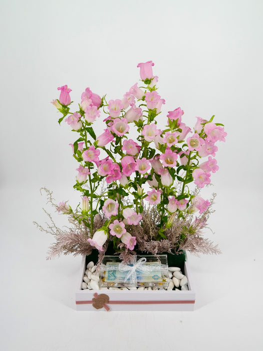 Pink Campanula