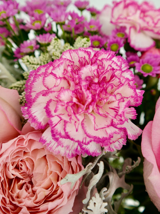 Pink Lush