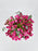 Pink Garden