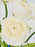 White Elegance