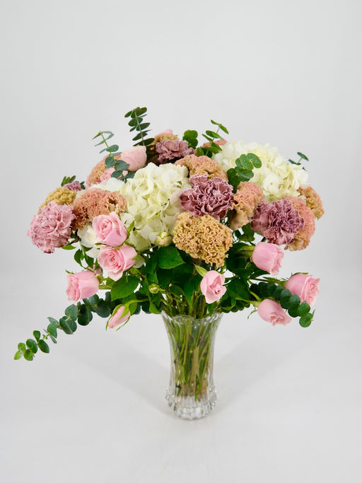 Celosia