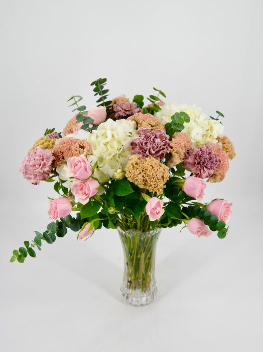 Celosia