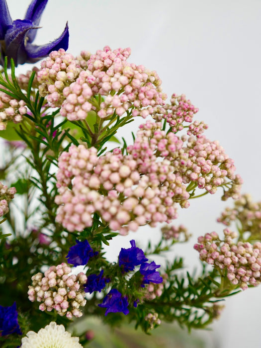 Blooming Marvelous