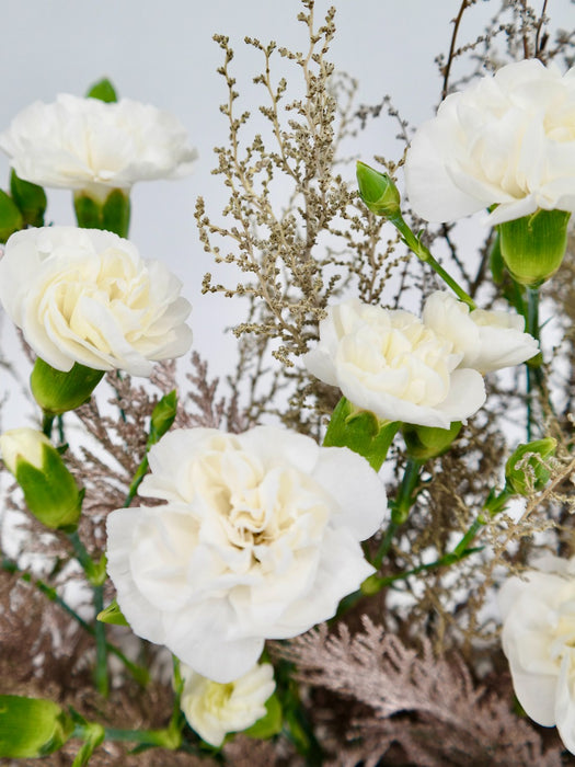 White Carni Money Arrangement