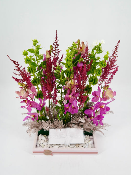 Vertical  Garden