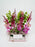 Vertical  Garden