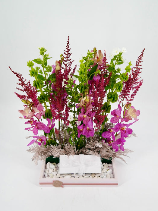 Vertical  Garden