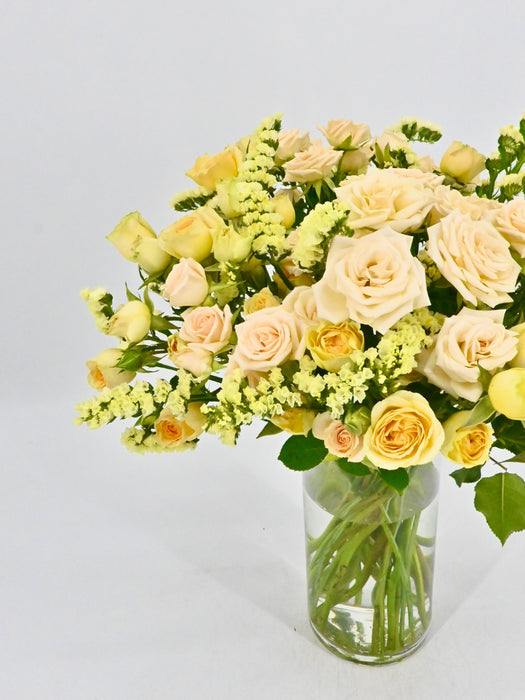 Sali Bloom