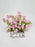 Pink Campanula