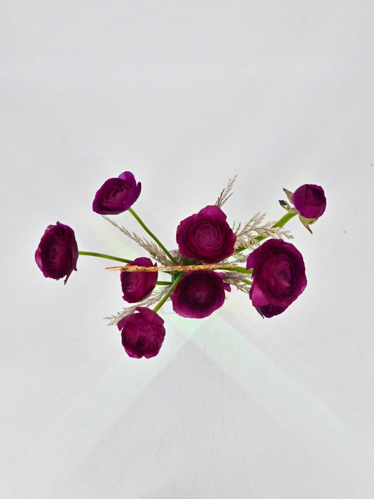 Ranunculus With Ramadan Kareem
