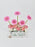 Julietta Money Arrangement