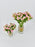 Sweet Flow Vase Set