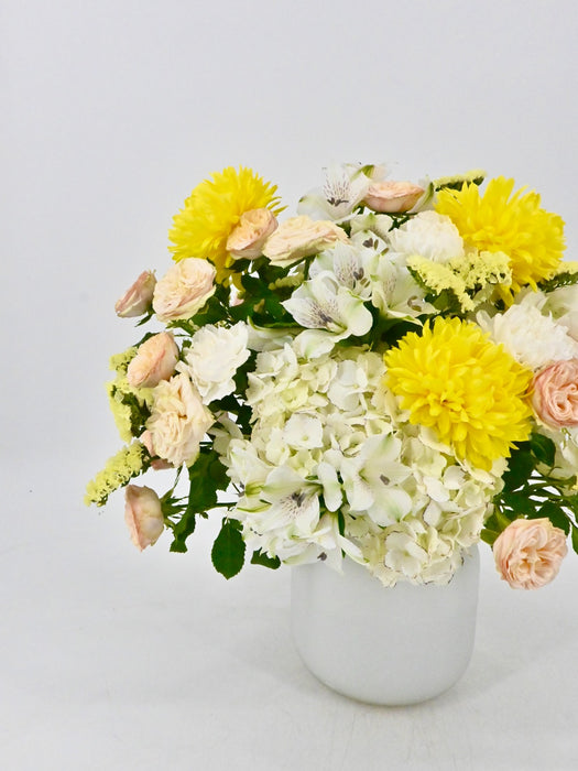 Whites & Yellow