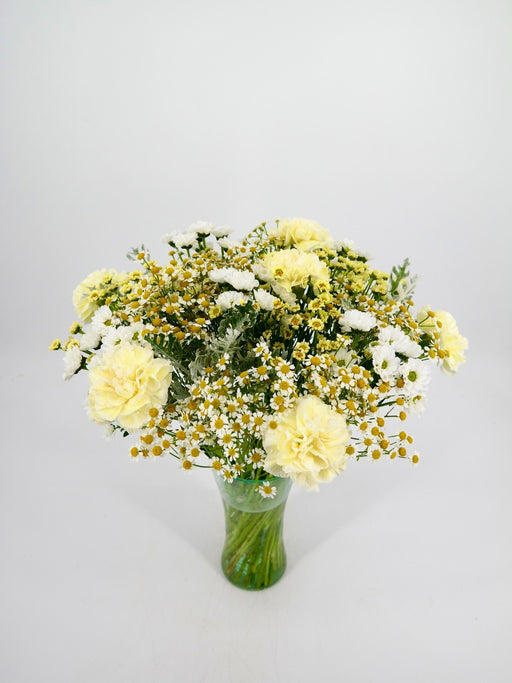 Tanacetum Love