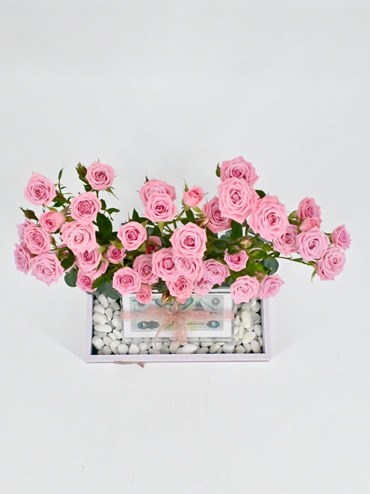 Odilia Money Arrangement