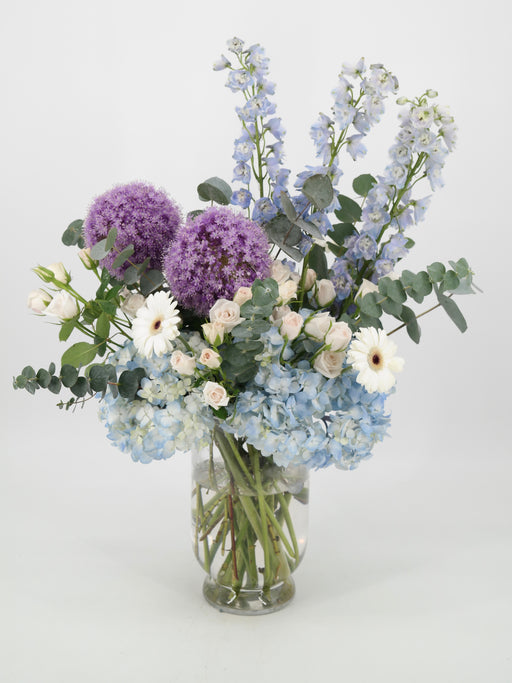 Allium Blue