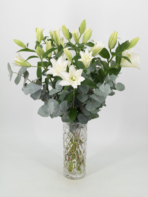 Double White Lily