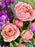 Julietta Garden