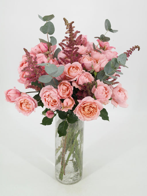 Julie Vision Pink