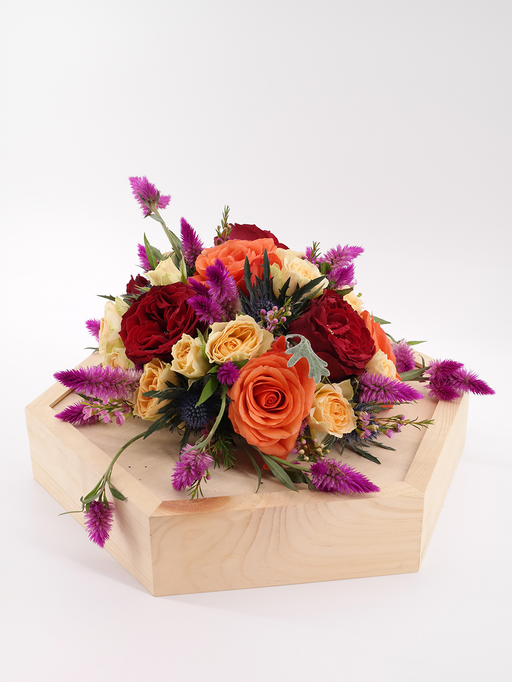 Furious Celosia