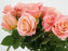 Rose Ms. Piggy