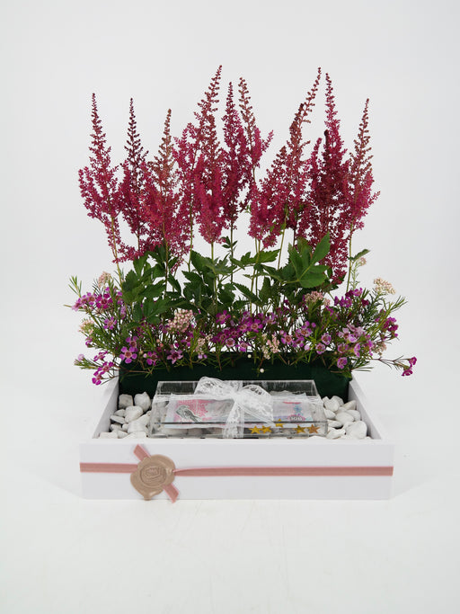 Astilbe