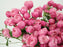 Garden Spray Rose Pink Silva