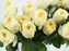 Rose Buttercup