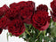 Rose of Hearts
