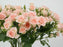 Spray Rose Sweet Sara