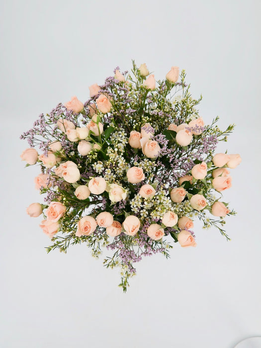 Light Apricot