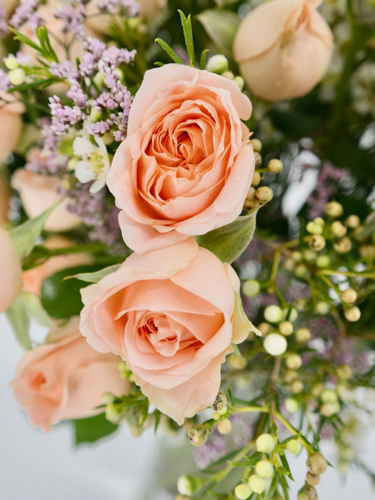 Light Apricot