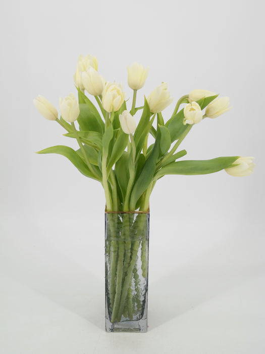White Tulips