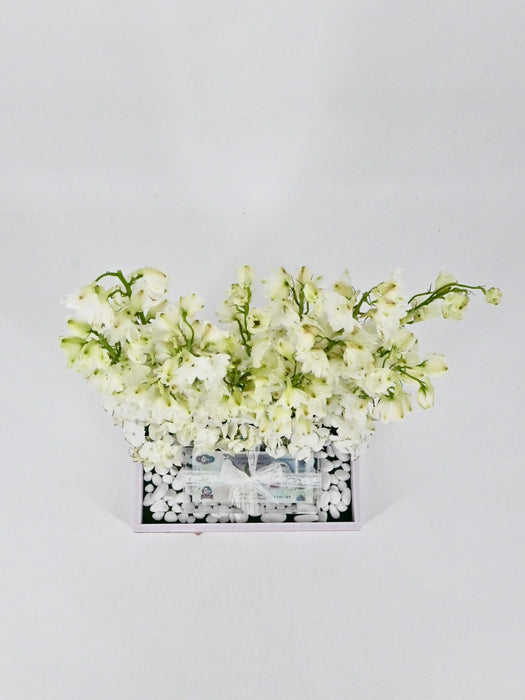 Delphy White Money Arrangement